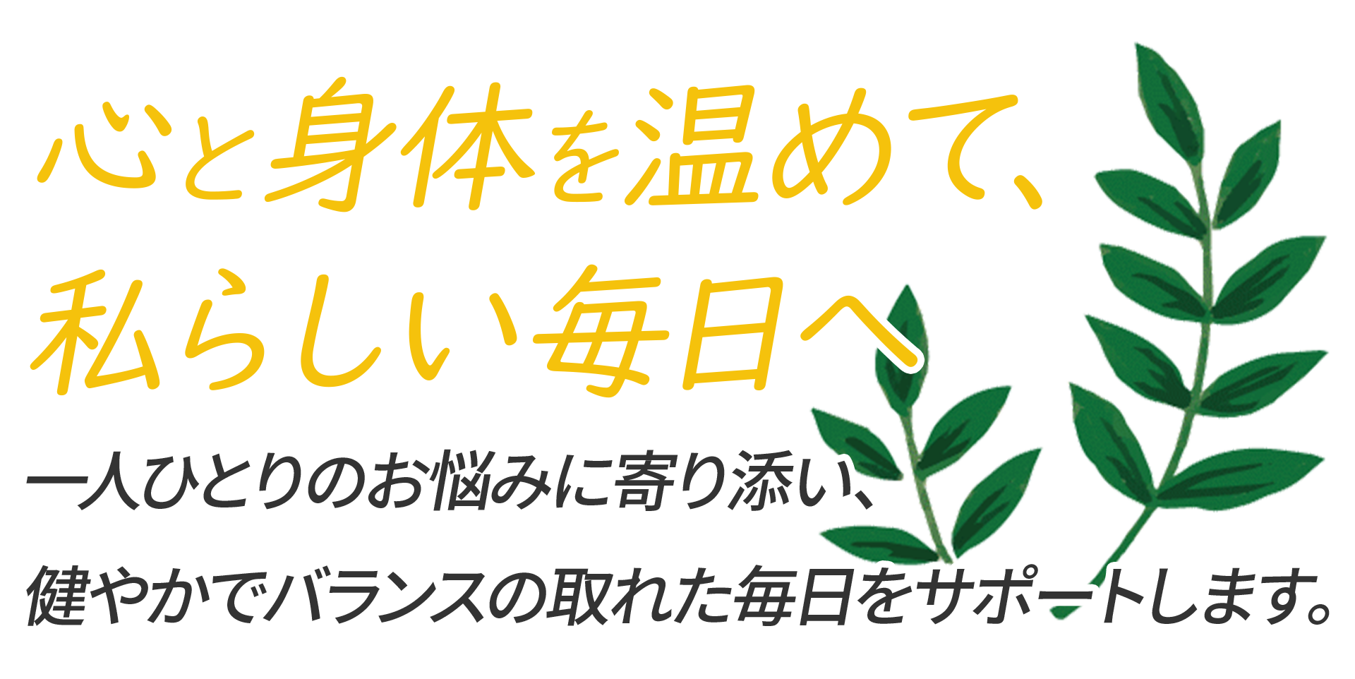 MVcatch